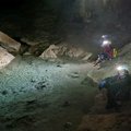 Gournier (Grottes de Choranche)